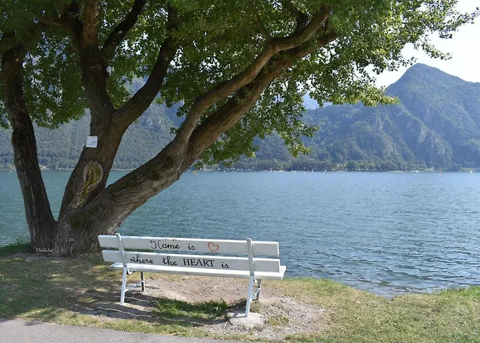 Tulipano