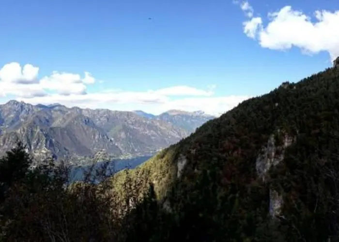 Tulipano 3* Crone