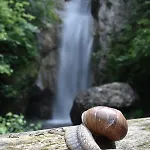 Nocleg ze śniadaniem Tulipano 3*