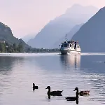 Nocleg ze śniadaniem Tulipano 3*