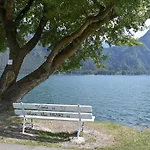 Tulipano