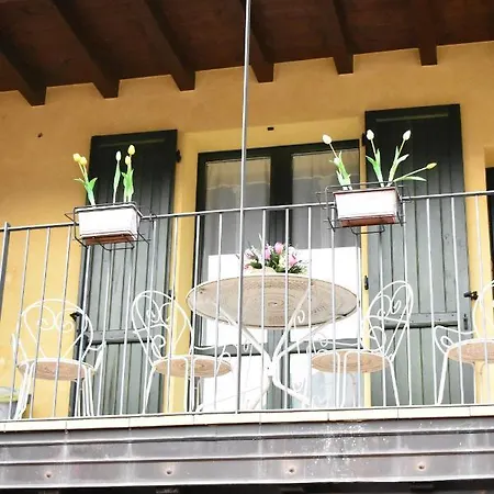 Tulipano *