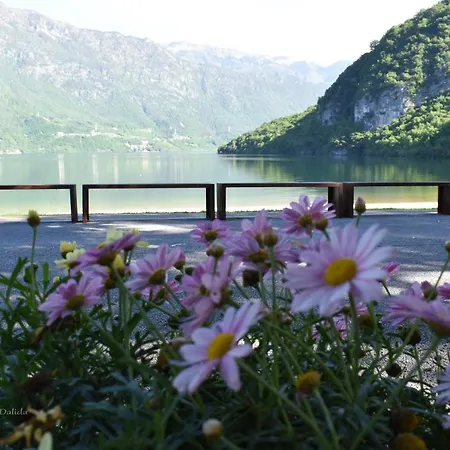 Bed & Breakfast Tulipano