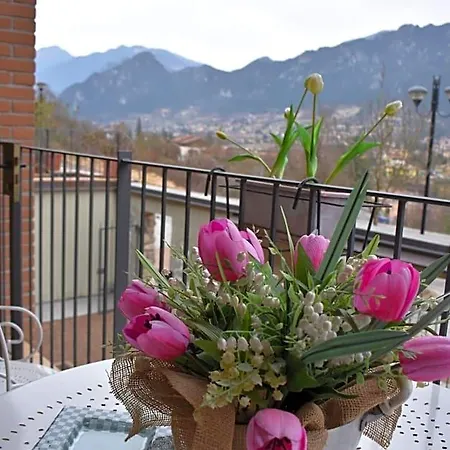 Tulipano 3*