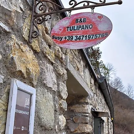 Tulipano 3*
