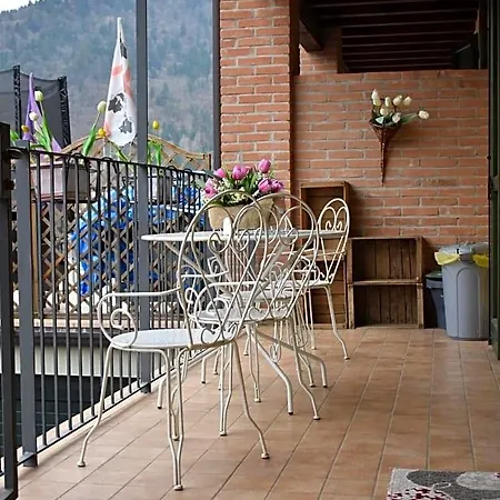 Tulipano