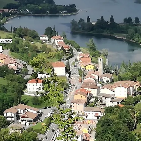 Tulipano