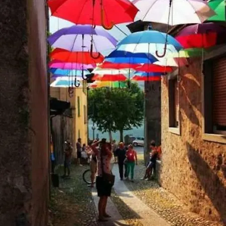 Tulipano 3*