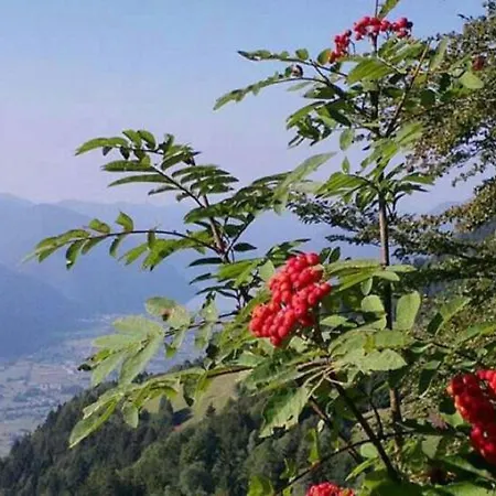 Bed and Breakfast Tulipano Crone