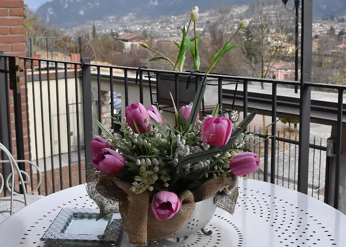 Tulipano 3* Crone