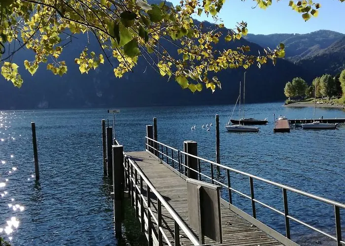 Tulipano
