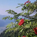 Bed & Breakfast Tulipano Crone