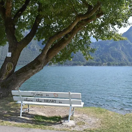 Tulipano
